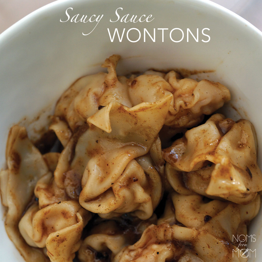 Saucy Sauce Wonton Recipe Noms From Mom